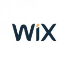 Wix Theme Options review